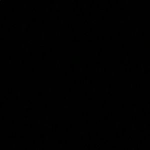 Meet your Posher, Alyssah